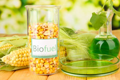 Newbuildings biofuel availability