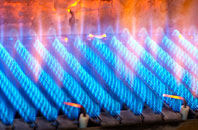 Newbuildings gas fired boilers